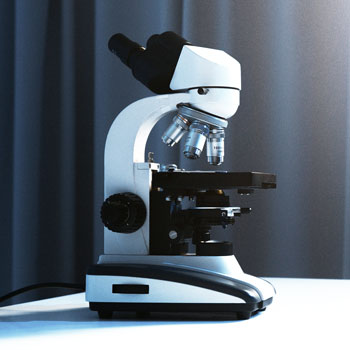 microscopio